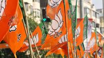 Uttar Pradesh Next BJP President: Who Are In The Race?