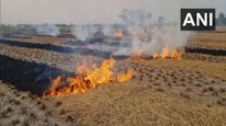 Punjab's Strategies To Combat Stubble Burning And Improve Air Quality: A Model For Others