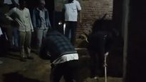 Muslim Man Murders Wife For Not Wearing Burqa; Then Kills 2 Daughters In UP
