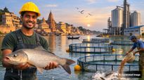 UP To Generate 2,000 Jobs As ₹1,407 Crore Fisheries Investments Head To Varanasi, Amethi And Barabanki