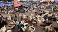 Bengaluru Traffic Advisory for Bakrid: Check Restrictions, List of Routes to Avoid