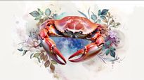 Cancer Horoscope for Today May 02, 2026, Saturday - Turn Heightened Sensitivity Into Healing Connections At Home