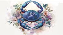 Cancer Horoscope for Today May 14, 2026, Thursday - Nurture Your Feelings, Set Boundaries And Find Calm In Familiar Spaces