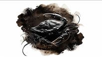 Cancer Horoscope for Today May 16, 2026, Saturday - Trust Your Feelings But Double-Check The Details