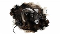 Capricorn Horoscope for Today May 16, 2026, Saturday - Capricorn Horoscope For Today, May 16, Saturday - Stay Focused, Share The Load, And Protect Your Energy
