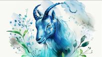 Capricorn Horoscope for Today May 17, 2026, Sunday - Steady Effort And Patience Bring Solid Progress