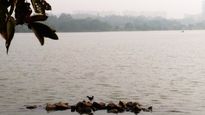Hebbal, Nagawara Lake Projects Reclaim 21 Acres Of Encroached Land For Wetlands And Walking Tracks