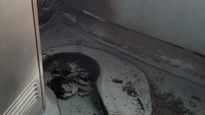 Anti-Social Elements Attempting to Jeopardise Passenger Safety: Indian Railways on Fire Incidents