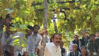 Water Warrior From India's Most Drought Prone Area: Farmer Turns Drought Land Into Gold