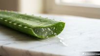 Aloe vera benefits for skin and hair: Hydration, soothing irritation and scalp moisture