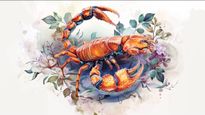 Scorpio Horoscope for Today May 14, 2026, Thursday - Turn Intense Focus Into Real Progress