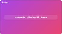 Immigration enforcement bill faces delay as Senate Republicans dispute White House funding