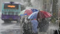 Tamil Nadu Weather: 14 Districts Today, 8 Tomorrow To Get Heavy Rains As RMC Issues Yellow Alert Till Sunday