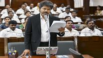 Tamil Nadu New Ministers With Portfolios 2026: Here Is The Full List Of Ministers In Vijay's Cabinet