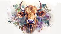 Taurus Horoscope for Today May 02, 2026, Saturday - Steady Progress, Practical Choices, and Calm Boundaries Guide Your Day