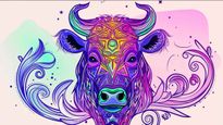 Taurus Horoscope for Today May 13, 2026, Wednesday - Taurus Horoscope For Today, May 13, 2026, Wednesday - Stay Calm And Choose Quality Over Pressure