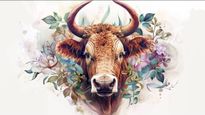 Taurus Horoscope for Today May 14, 2026, Thursday - Taurus Horoscope For Today, May 14, Thursday - Stay Grounded As Sudden Changes Test Your Patience