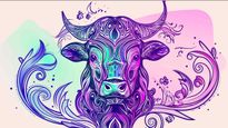Taurus Horoscope for Today May 20, 2026, Wednesday - Steady Progress Through Routine and Practical Choices