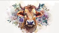 Taurus Horoscope for Today May 25, 2026, Monday - Steady Progress Helps You Finish What You Started