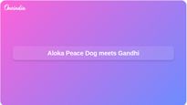 Aloka Peace Dog arrives in Delhi with Buddhist monks, meets Maneka Gandhi