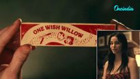 What Is The One Wish Willow? The Viral Horror Object From Obsession Explained