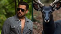 Why Salman Khan Has Moved Delhi High Court Against Kala Hiran: The Battle for Legacy