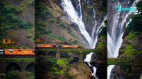 Goa Dudhsagar Waterfall Tragedy: Four Students Drown During Picnic, One Survives