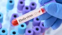 Ebola Advisory India: Travel Guidance And Public Health Alerts