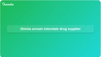 Interstate drug supplier arrested after Shimla chitta and ice seizure, police say