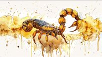 Scorpio Horoscope for Today June 03, 2026, Wednesday - Deep Focus Helps You Avoid Drama And Make Real Progress