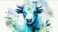 Taurus Horoscope for Today June 07, 2026, Sunday - Taurus Horoscope For Today, June 07, 2026, Sunday - Protect Your Time, Nurture Bonds, And Move At A Steady Pace