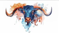 Taurus Horoscope for Today June 10, 2026, Wednesday - Steady Energy Helps You Organise Life And Make Safe Choices