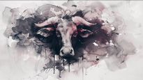 Taurus Horoscope for Today June 13, 2026, Saturday - Steady Steps Help You Finish Key Tasks Calmly