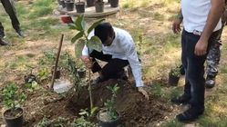 Lok Sabha Election 2024 Phase 6: JJP candidate-Cum-Singer Rahul Yadav Plants Tree Before Voting