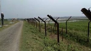 বিএসএফের ঢিলেঢালা নজরদারি! রাতের অন্ধকারে সীমান্তে অবৈধ প্রবেশ বাড়ছে