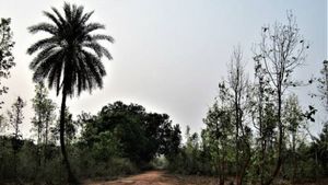 ৭৩ বছরেও বিদ্যুত এল না ঝাড়গ্রামের শিমুলপাল এলাকায়