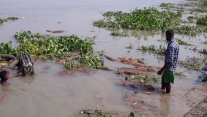 বিসর্জনে ইছামতী দূষণ রোধ করতে বসিরহাট পুরসভার নয়া উদ্যোগ