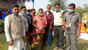 গাছ লাগিয়ে জাতীয় প্রতিবন্ধী দিবস উদযাপিত হল বসিরহাটে