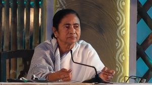 মতুয়া ভোট দখলের লড়াই, অমিত পা রাখার আগেই ঠাকুরনগর জুড়ে মমতার গুণগানের পোস্টার