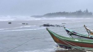 ধেয়ে আসছে Cyclone Yaas: আম্ফানের থেকে শিক্ষা নিয়ে পুরসভা ও বরো অফিসে খোলা হচ্ছে কন্ট্রোল রুম