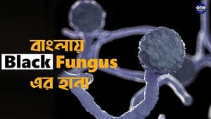 করোনা আবহের মধ্যেই ব্ল্যাক ফাঙ্গাসের থাবা বাঁকুড়াতেও? বাড়ছে আতঙ্ক 