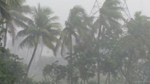 হাতির মতো শুঁড় পাকিয়ে ধেয়ে এল টর্নেডো, বসিরহাটের পর ১ মিনিটেই লন্ডভন্ড কেশিয়াড়ির গ্রাম