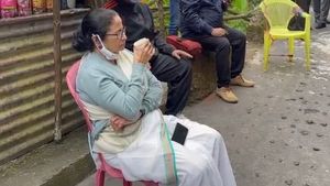 গোয়া যাওয়ার আগে খোশ মেজাজে মমতা, ৮ কিলোমিটার হেঁটে কর্শিয়ংয়ে চায়ের দোকানে জনসংযোগ