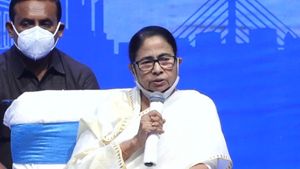 কাশফুলও শিল্প হতে পারে, হাওড়ার প্রশাসনিক বৈঠকে নতুন পরামর্শ মুখ্যমন্ত্রীর