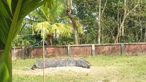 আনিস খানের দেহের দ্বিতীয়বার ময়নাতদন্ত নিয়ে ফের জটিলতা!  মানা হচ্ছে না আদালতের নির্দেশ,  অভিযোগ পরিবারের 