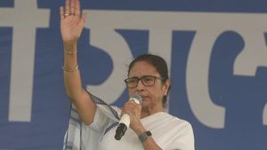 'আমি যদি হেরে গিয়ে কাজ করতে পারি...' দলীয় কর্মীদের চাঙ্গা করতে বার্তা মমতার