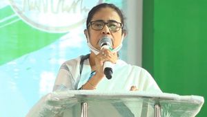 ছবি লাগাতে লাগাতে ‘ছবি’ হয়ে যাবে বিজেপি! বাংলার বাড়ি প্রসঙ্গে একহাত মমতার  