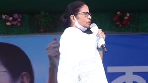 উত্তরবঙ্গ সফরে 'ভুল' উল্লেখে মুখ্যমন্ত্রী মমতার আত্ম সমালোচনার বার্তা! পরেশ অধিকারীর অনুপস্থিতি নিয়েও জল্পনা 