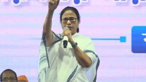 এক ভোটে হারেই সব শেষ হয়ে যায় না, টেলিফোনিক বৈঠকে মুর্শিদাবাদ নেতৃত্বকে বার্তা মমতার