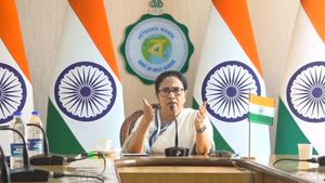 বিহার থেকে লোক এনে অশান্তি করা হচ্ছে, কালিয়াগঞ্জের ঘটনায় ডিজিকে ভর্ৎসনা করে কী নির্দেশ মুখ্যমন্ত্রীর